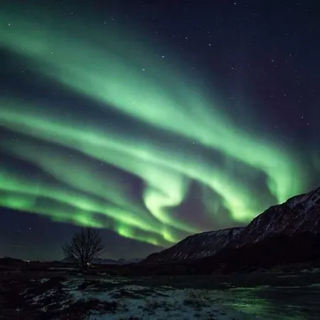 Prázdninový dům Midnattsolveien 3158,sommarhusstrand Lofoten Norway