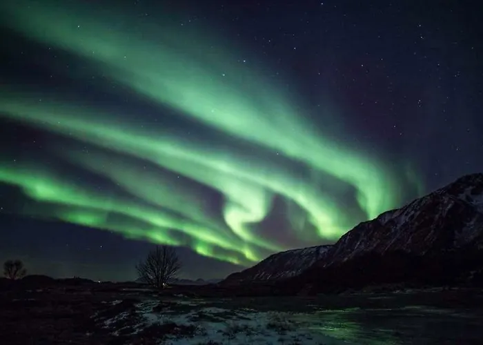 Semesterbostad Midnattsolveien 3158,sommarhusstrand Lofoten Norway