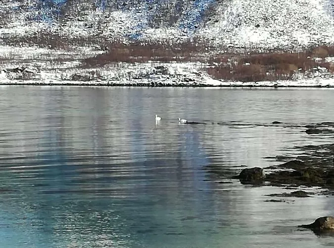 Midnattsolveien 3158,sommarhusstrand Lofoten Norway * Laukvik